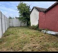 The garden of a family house in Dobrohošť with a tree, grass, and fencing made of concrete panels.
