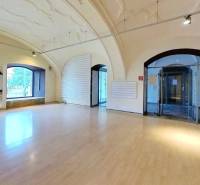 Bright commercial spaces with wooden flooring and vaulted ceiling.