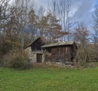 An old wooden shed and a family house surrounded by autumn nature and trees.