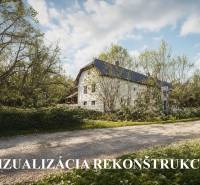 Visualization of the reconstruction of a family house surrounded by trees and a road in a pleasant environment.