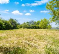 Grassy area in Kynceľové Kračany, Dunajská Streda surrounded by trees. Plots - residential.