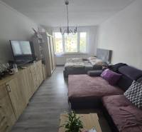 Living room with a sofa, TV, cabinets, and a bed in a two-room apartment.