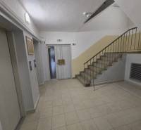 Entrance hall with staircase and elevator in the building, suitable for a 2-room apartment.