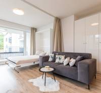 A room with a sofa, a pull-out bed, a window, and a wooden floor in a studio apartment.