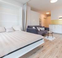Interior of a 1-room apartment with a bed, sofa, kitchenette, and table.