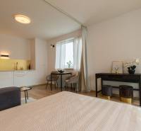Interior of a 1-room apartment with a bright kitchen, dining table, and decorations.