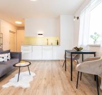 Living room with a kitchenette, dining table, and sofa in a studio apartment.