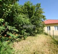 Gardens in Nová Baňa with a house, fence, and dense greenery. The sunny day encourages a peaceful walk.
