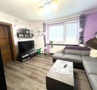 Living room in a family house with purple walls, a sofa, and a TV on the wall.