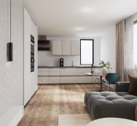 Living room in a studio apartment with a sofa, television, and kitchenette.