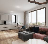 Living room with kitchen in a studio apartment, bright setup and comfortable sofa.