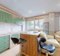 A kitchen space with a counter, green cabinets, modern chairs, and a light sofa.