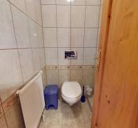Bathroom with wall tiles, toilet bowl, trash can, and brush.