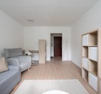 Living room in a 3-room apartment with a sofa and an armchair, neutral color tones.