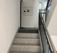 A staircase in a building with a railing and doors, suitable for a studio apartment.