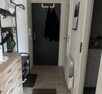 Entrance hall in a one-room apartment with coat racks, shoe cabinets, and wall decorations.