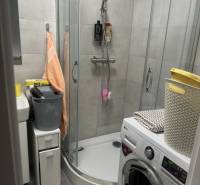 A compact bathroom in a studio apartment with a washing machine and a shower.