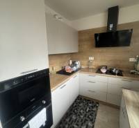 A kitchen in a studio apartment with modern equipment and wooden details.