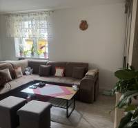 Living room in a one-room apartment with a sofa, table, and plants on the window.