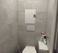 A toilet in the bathroom of a one-room apartment with ceramic tiles and storage furniture.