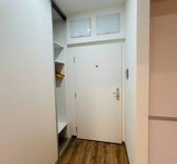 Hallway in a one-room apartment with a shoe cabinet and white doors, wooden floor.