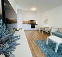Bright kitchen and living area in a studio apartment with wooden flooring.