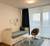 Cozy living corner of a studio apartment, with a comfortable armchair and sofa.
