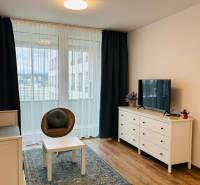 Bright living room in a one-bedroom apartment with a balcony and wooden flooring.