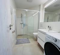 A bathroom in a studio apartment with a modern shower and a washing machine.