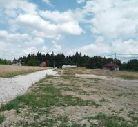 A dirt road leading to several houses in Kunerad, surrounding residential plots.