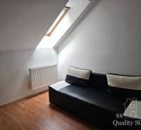Attic room in a 3-room apartment with a sloped ceiling and a skylight.
