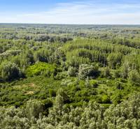 The forests in Dobrohošť offer residential plots surrounded by nature and greenery.