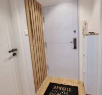 Entrance hallway in a 2-room apartment, with a doormat and wooden floor.