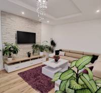 Living room in a two-room apartment with a sofa, plants, and a television on a stone cladding.