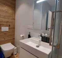 A bathroom with a shower and a toilet in a 2-room apartment with wooden paneling.