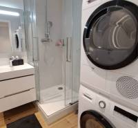 Bathroom with a shower and appliances in a 2-room apartment, wooden floor.