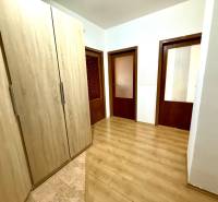 A hallway with wooden doors and a built-in wardrobe in a 4-room apartment.