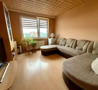 Living room of a 4-room apartment with a corner sofa, wooden furniture, and houseplants.