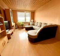 Living room in a 4-room apartment with a sofa and furniture in warm tones.