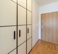 Entrance hall in a 1-room apartment with wooden flooring and a large wardrobe.