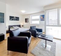 A comfortable 1-room apartment with carpet, furniture, and windows, bright and spacious.