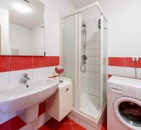 Bathroom with a washing machine, shower stall, and red tiles in a studio apartment.