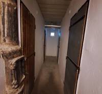 A narrow corridor with wooden and metal doors, probably a basement in a 3-room apartment.