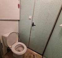 A bathroom with a white toilet and a carpet in a 3-room apartment.