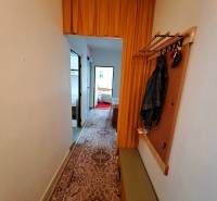 A hallway in a 3-room apartment with a curtain, carpet, and wall-mounted coat rack.