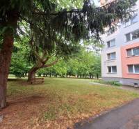 Apartment building on Trenčianska Street in Nová Dubnica with greenery and a bench in the background.