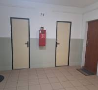 A hallway with doors and a fire hydrant in a 3-room apartment.