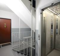 Entrance area with an elevator in a building for a 3-room apartment.