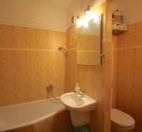 A bathroom in a three-room apartment with a shower, a mirror, and brown tiles.