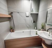Bathroom in a 3-room apartment with a shower, bathtub, sink, and decorative elements.